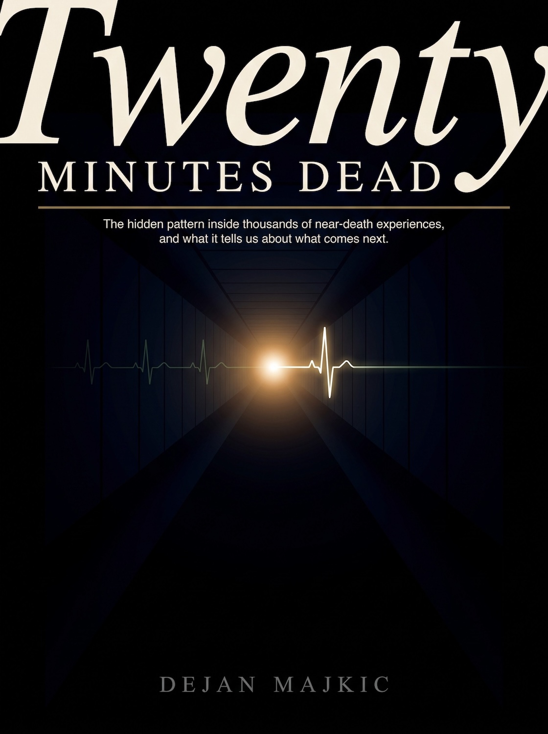 Twenty Minutes Dead book cover, by Dejan Majkic